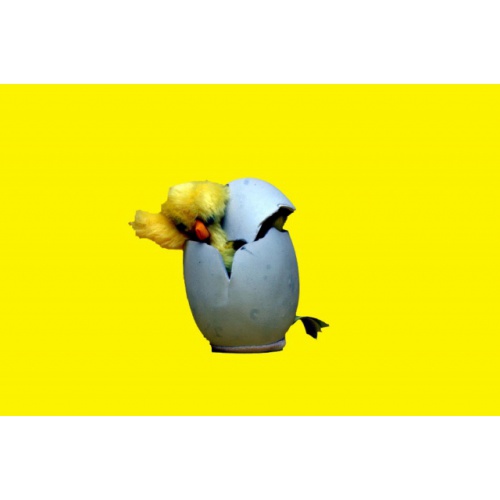 sk572